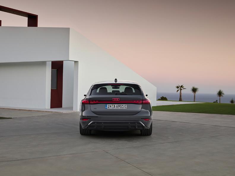 A243163_large copia.jpg